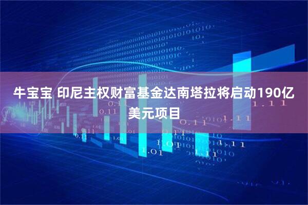 牛宝宝 印尼主权财富基金达南塔拉将启动190亿美元项目