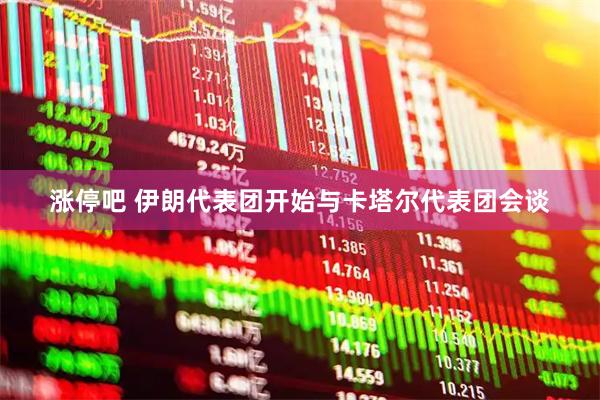 涨停吧 伊朗代表团开始与卡塔尔代表团会谈
