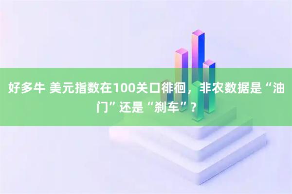好多牛 美元指数在100关口徘徊，非农数据是“油门”还是“刹车”？